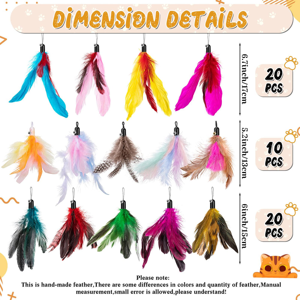 Leitee gros plan sur plumes naturelles révélant texture réaliste et attrait