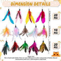 Leitee gros plan sur plumes naturelles révélant texture réaliste et attrait
