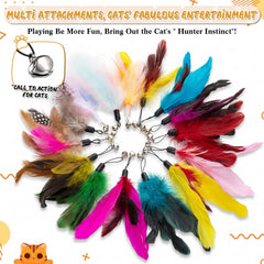 Leitee plumes colorées vives pour stimuler la vue et l’intérêt du chat