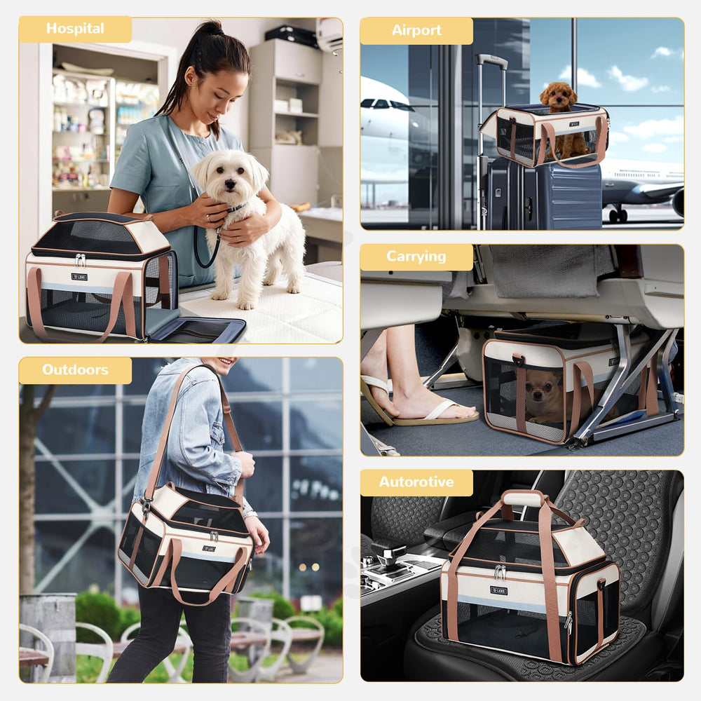 Lekereise comparaison taille montrant l'échelle avec un petit chien