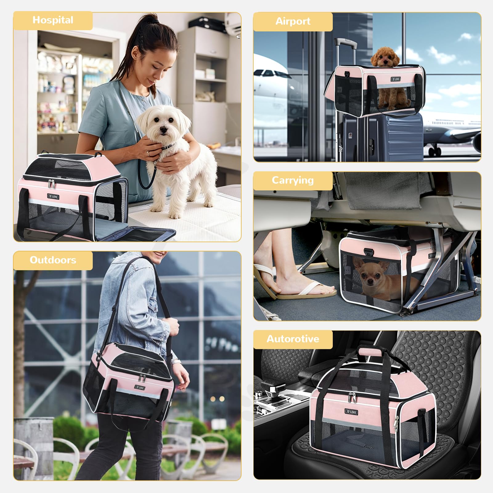 Lekereise comparaison taille avec chat pour choisir la bonne dimension