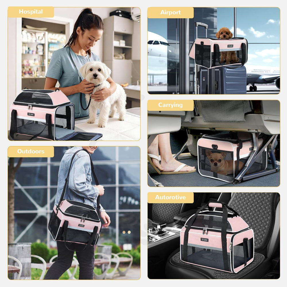 Lekereise comparaison taille avec chat pour choisir la bonne dimension