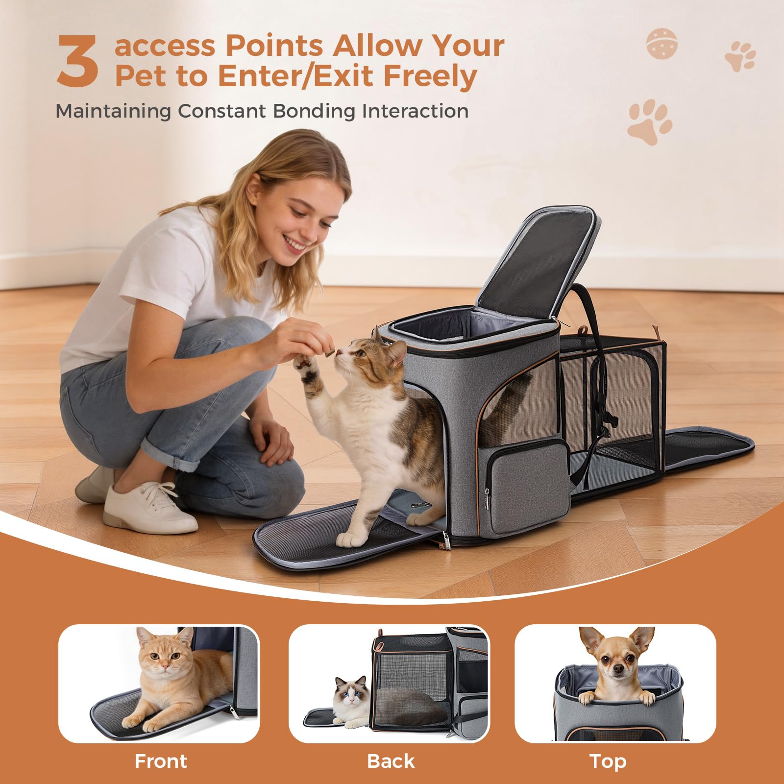 Lekereise gros plan mesh ventilation assurant circulation d'air pour l'animal
