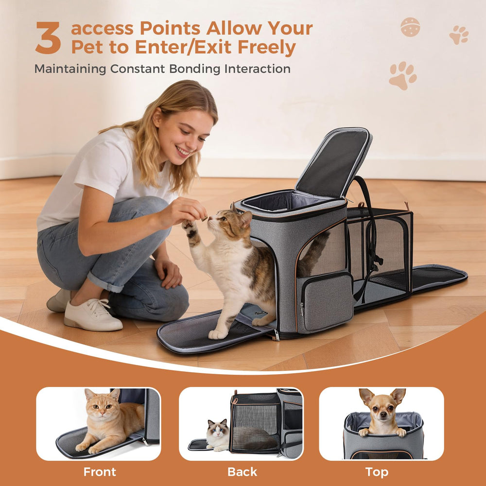 Lekereise gros plan mesh ventilation assurant circulation d'air pour l'animal