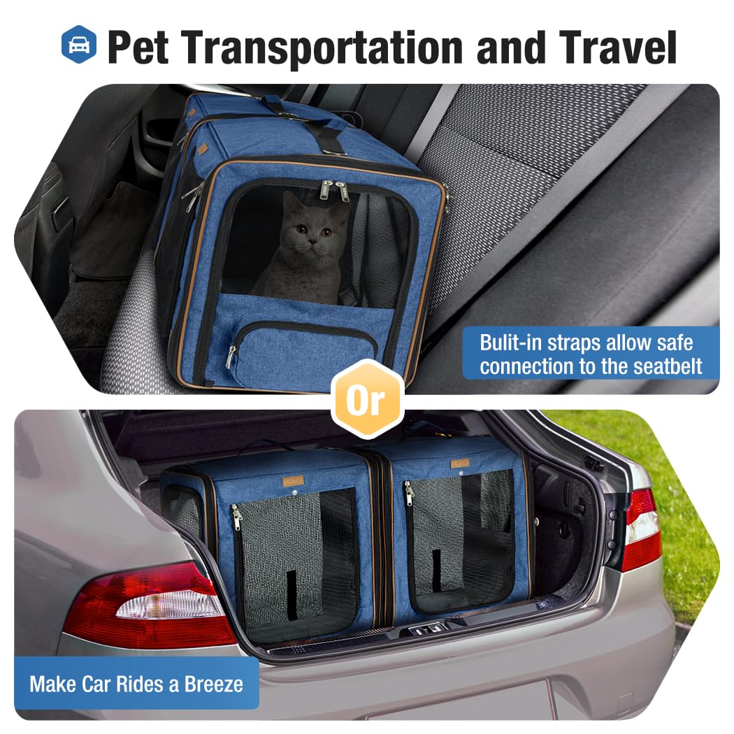 Lekereise transporteur installé en voiture pour trajets sereins