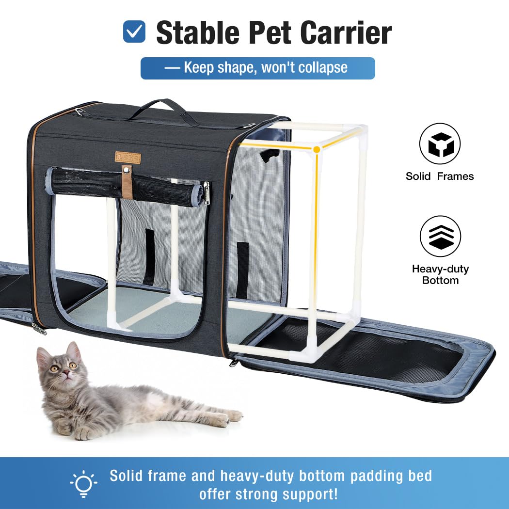 Lekereise maille respirante assurant ventilation et confort pour animaux