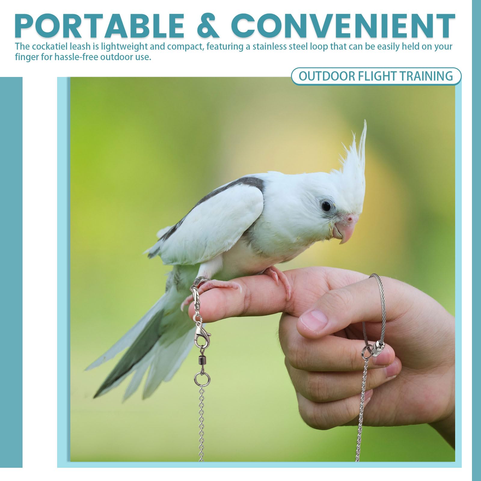 LELE LIFE comparaison de taille avec règle pour choisir anneau adapté