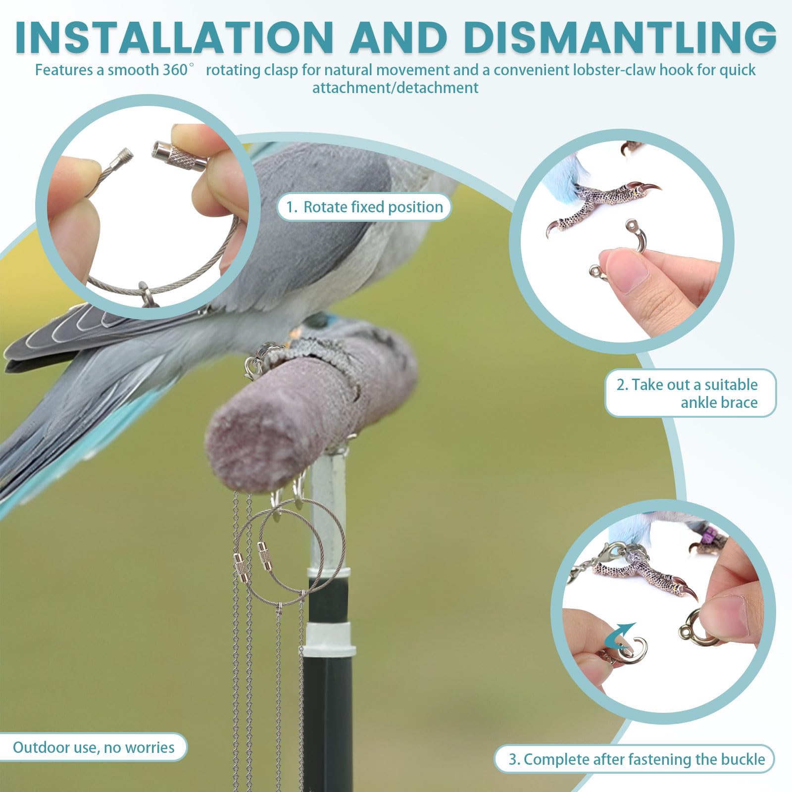 LELE LIFE oiseau en plein air utilisant la laisse pour sorties sûres