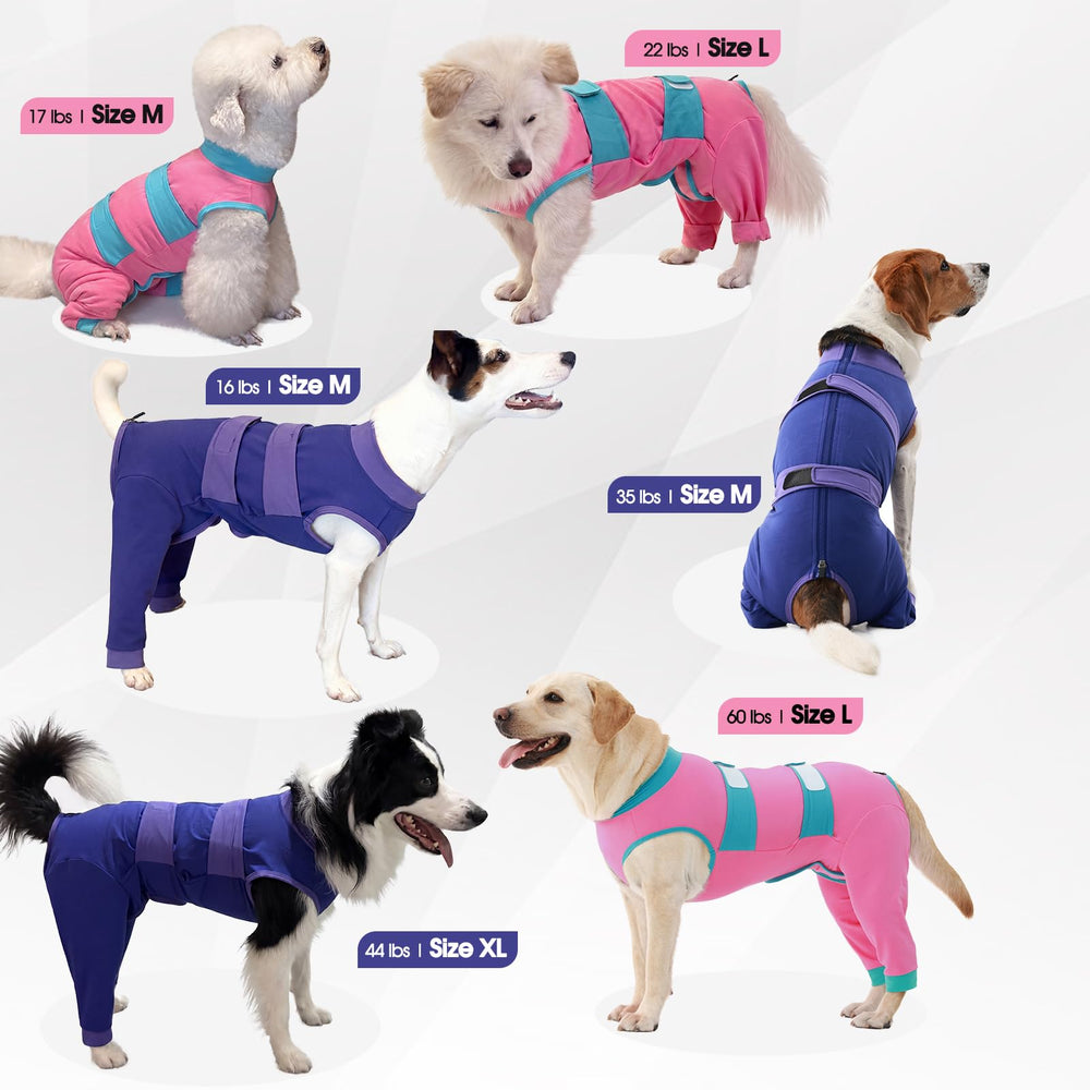 Comparaison taille XL LeLePet avec mètre illustrant la longueur du dos à mesurer