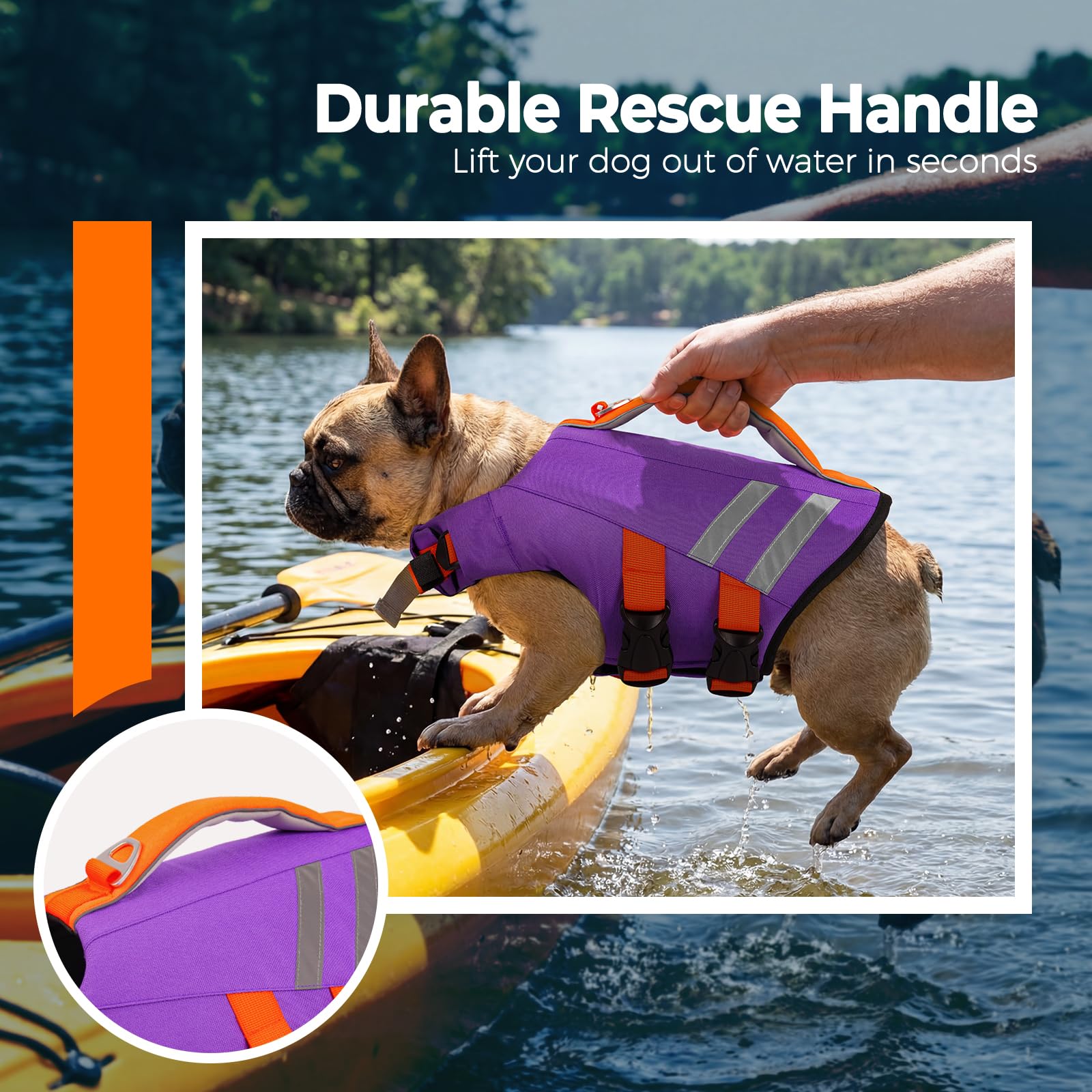 LeLePet mousse haute densité intérieure pour flottabilité et soutien