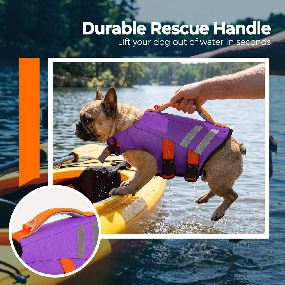 LeLePet mousse haute densité intérieure pour flottabilité et soutien