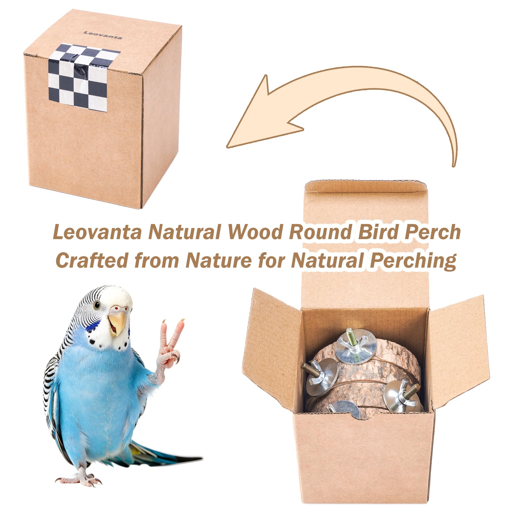 Leovanta coin cage aménagé avec perchoirs, cadre de vie naturel et apaisant