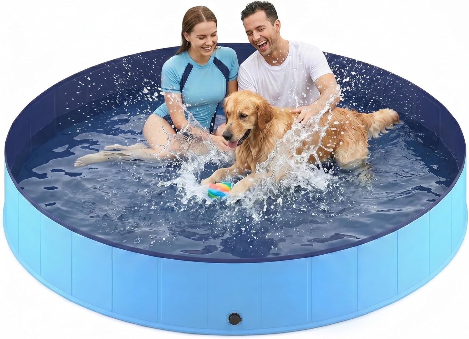 Lesguyor piscine ouverte vue de face montrant l'espace pour plusieurs animaux