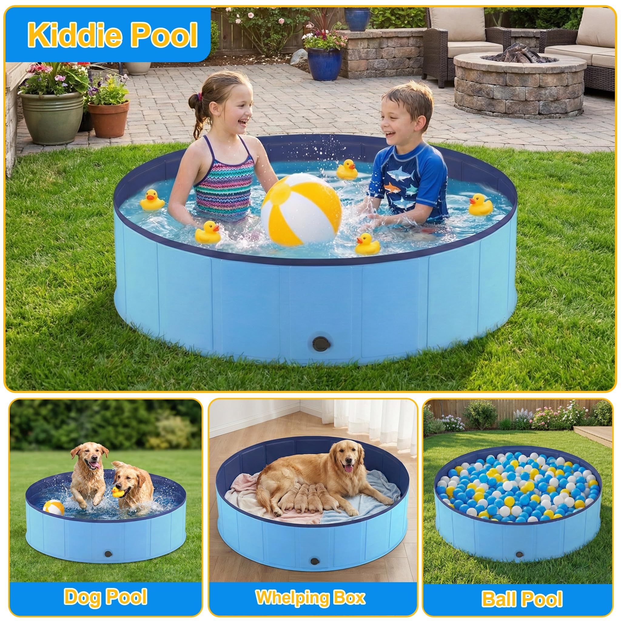 Lesguyor piscine en usage jardin avec chien et enfant pour moments rafraîchissants