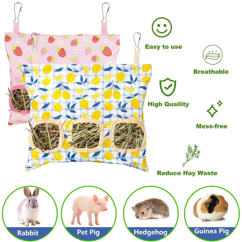 Lesnala sac tenu à la main pour comparaison de taille, capacité claire