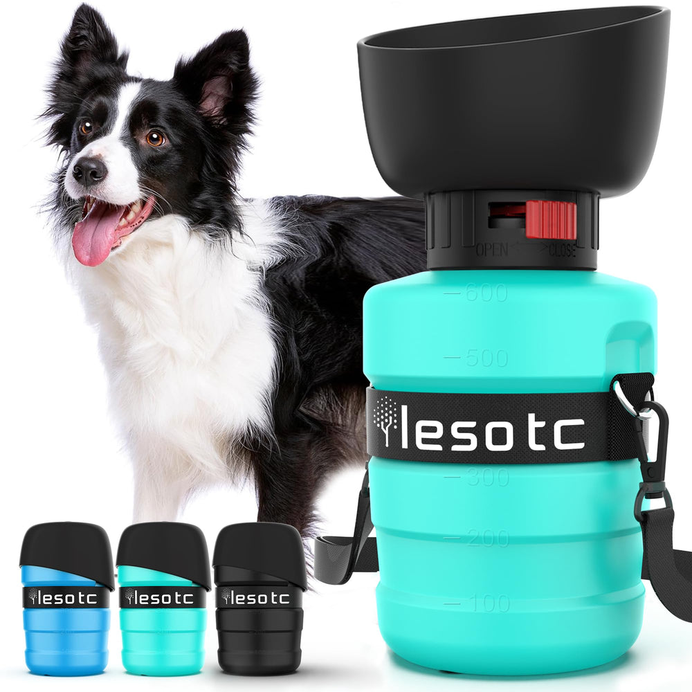 lesotc vue avant de la bouteille, compacte et pratique pour promenade