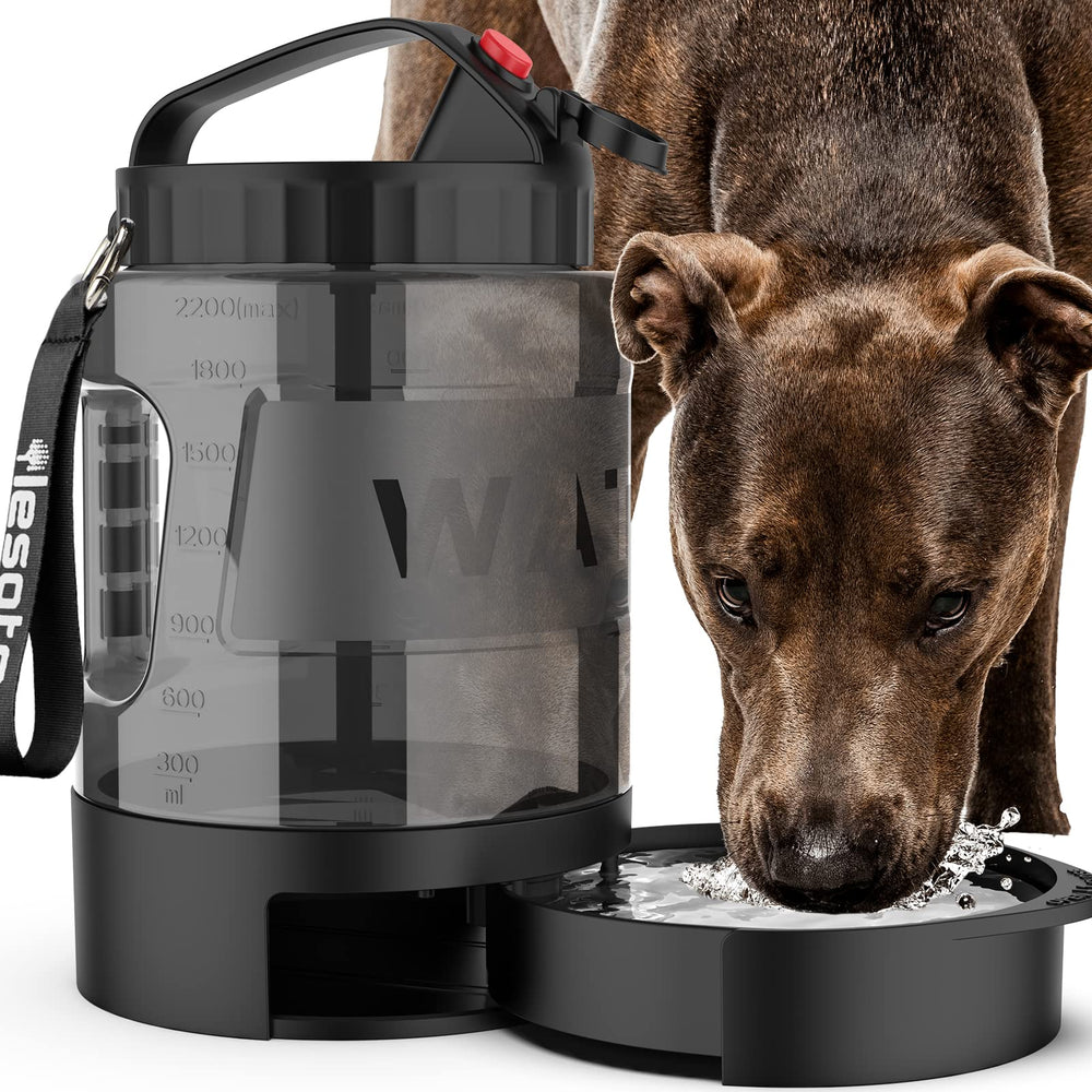 lesotc gourde face avant montrant design compact pratique