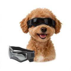 LESYPET lunettes face avant montrant protection et style