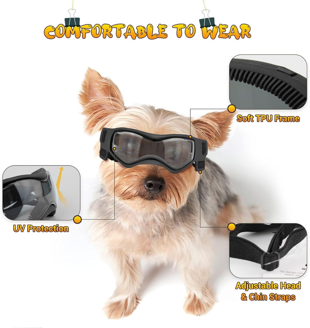LESYPET lunettes portées en promenade réduisant vent et poussière