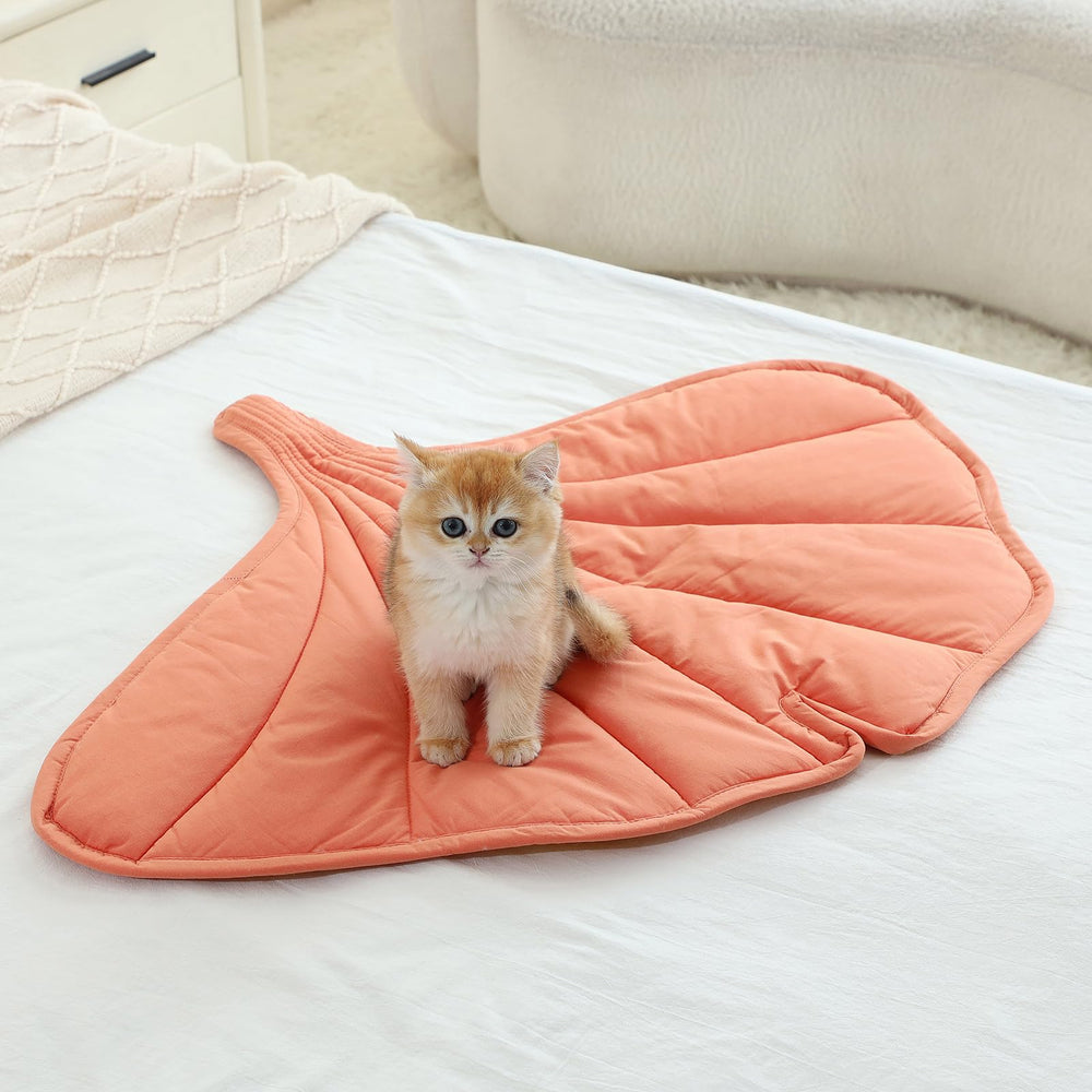 Letalong chat allongé sur le tapis illustrant chaleur et détente