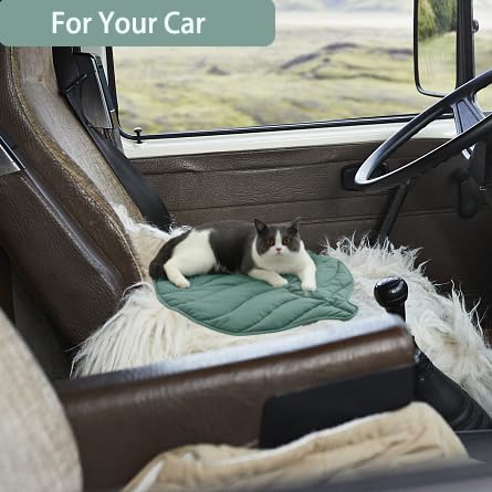 Letalong tapis placé dans un abri, parfait pour chats errants