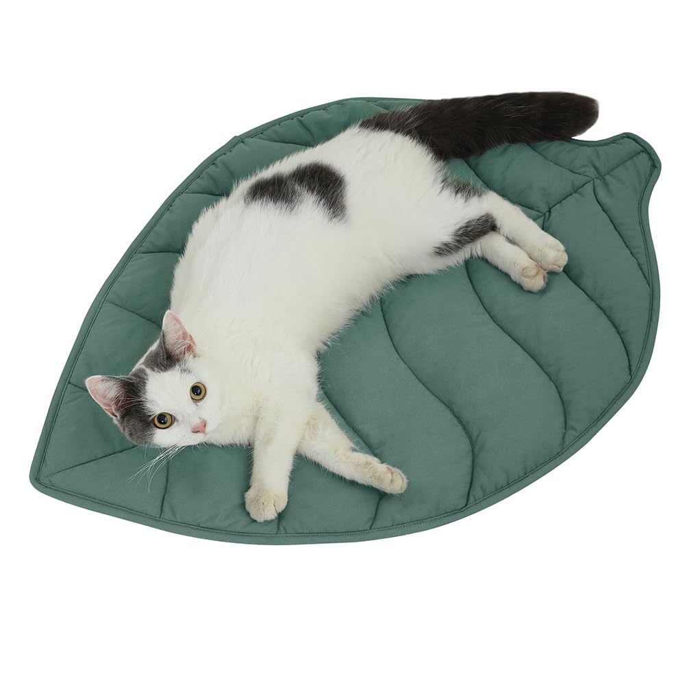 Letalong vue avant du tapis feuille offrant un coin chaud et confortable