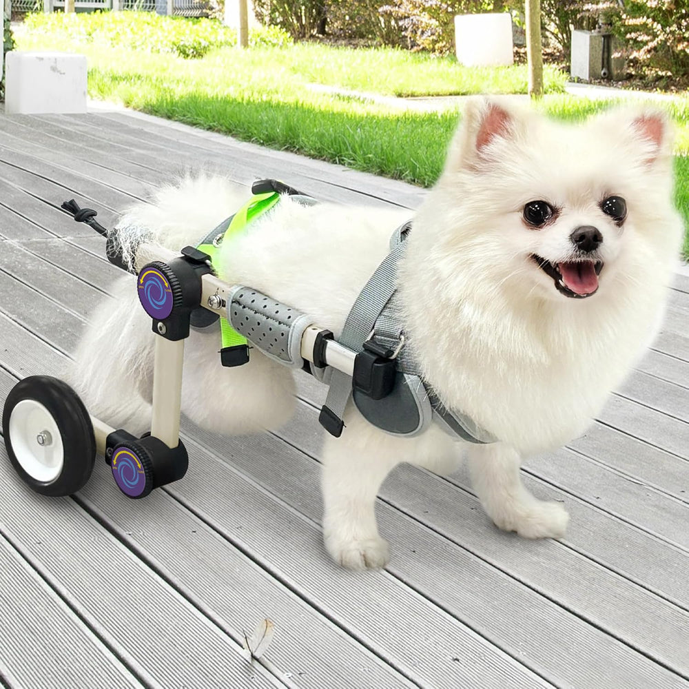 LetPetRun vue de face du chariot montrant soutien arrière et mobilité
