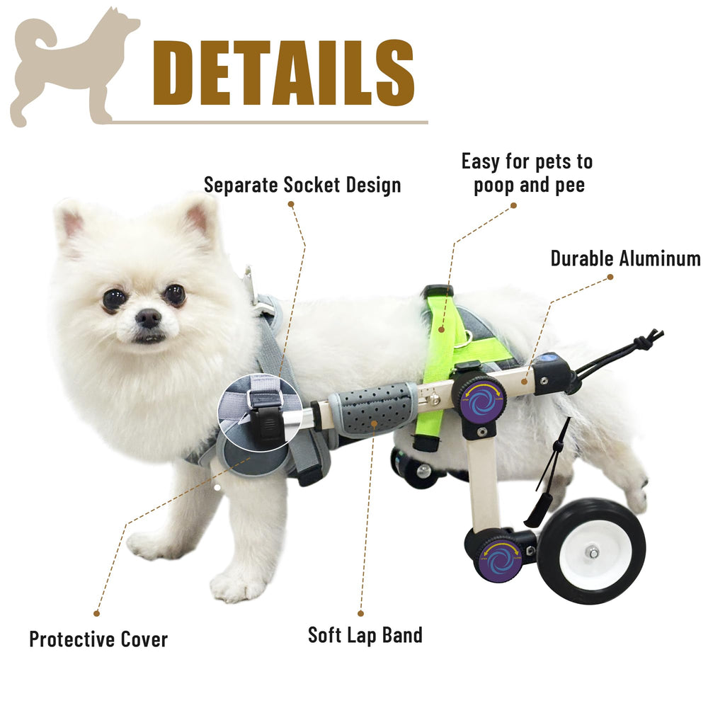 LetPetRun comparaison de taille avec un chien montrant ajustabilité précise