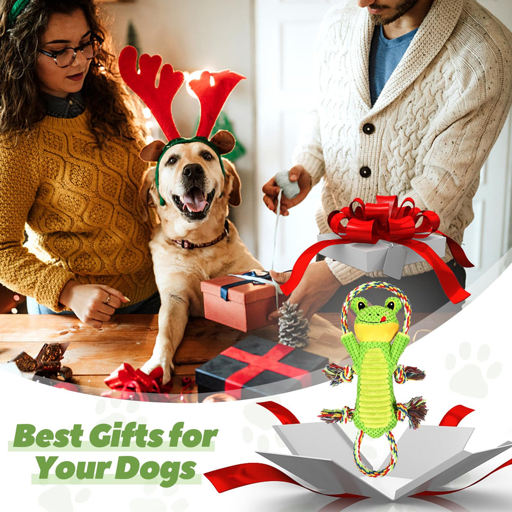 Letsmeet deux chiens tirant le jouet, encourage interaction et exercice