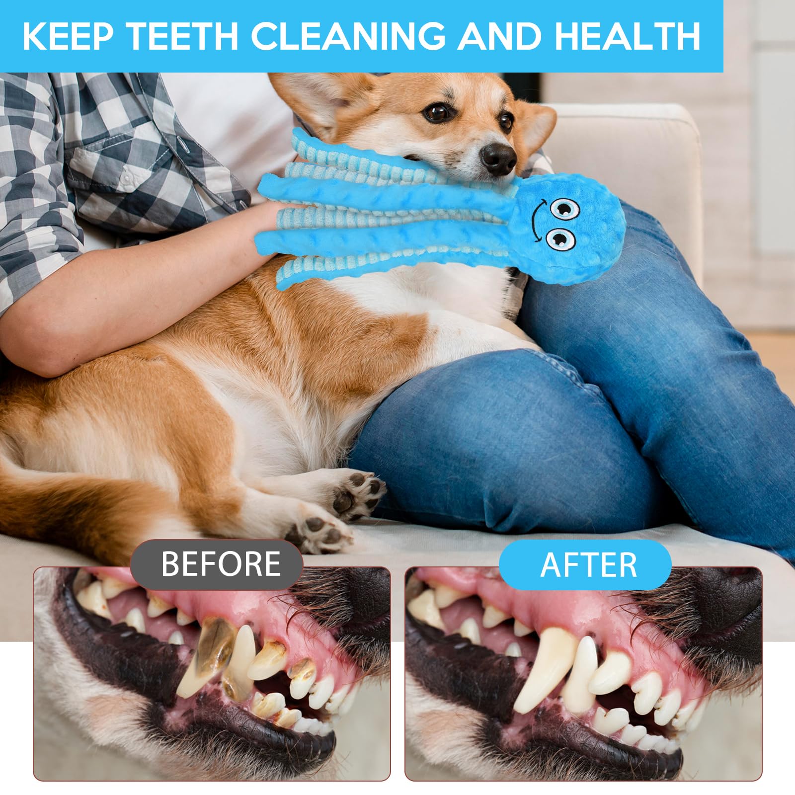 Letsmeet comparaison de taille avec une main, aide à choisir la bonne taille pour chien