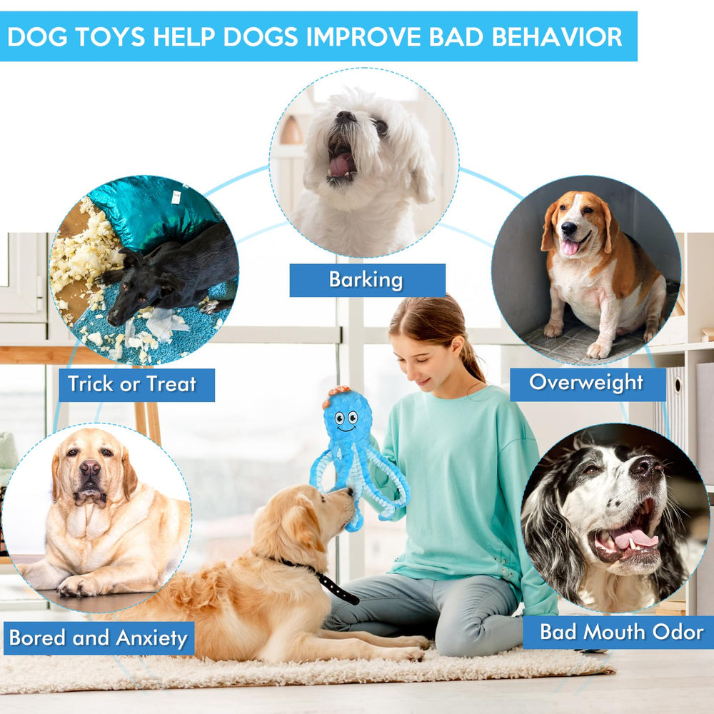 Letsmeet jouet en usage avec chiot qui mord, favorise activité physique et lien