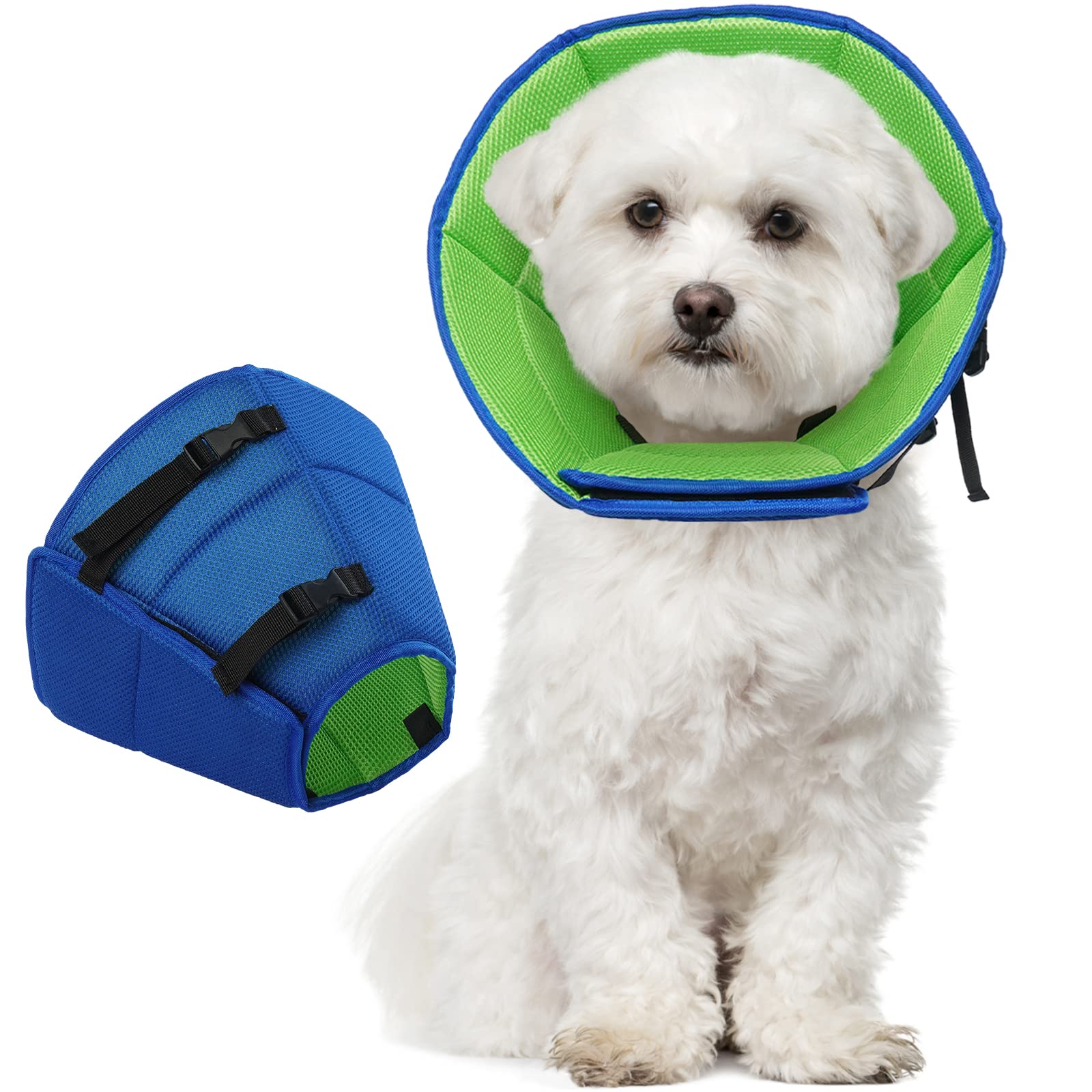 LETSQK collier face visible, protection immédiate et confort