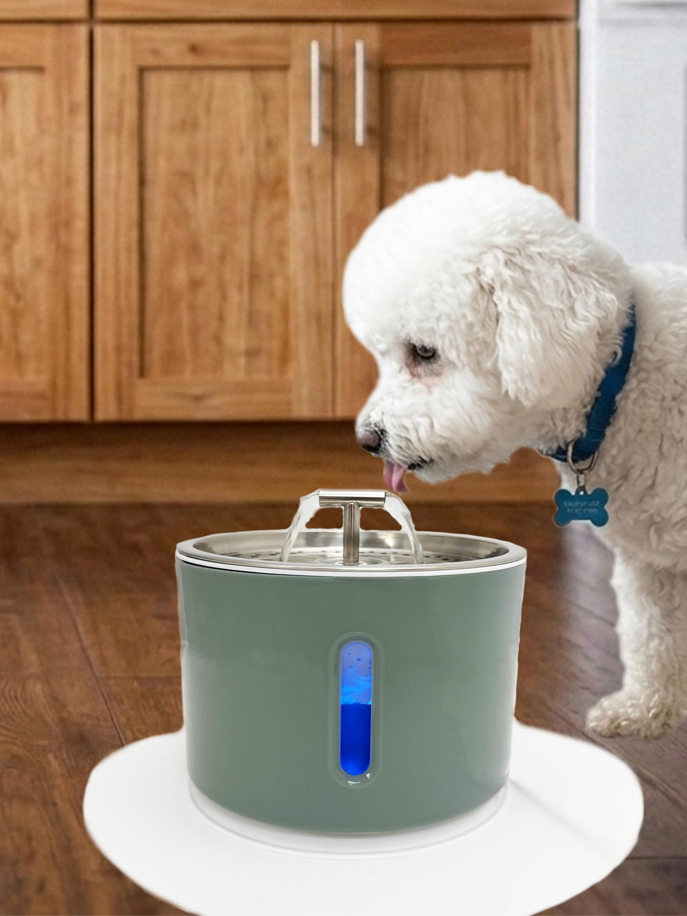LEVEL ONE PETS fontaine face avant montrant design compact et remplissage facile