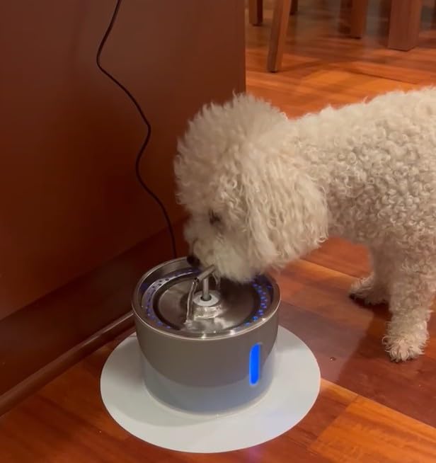 LEVEL ONE PETS gros plan matériau plastique de qualité facile à essuyer