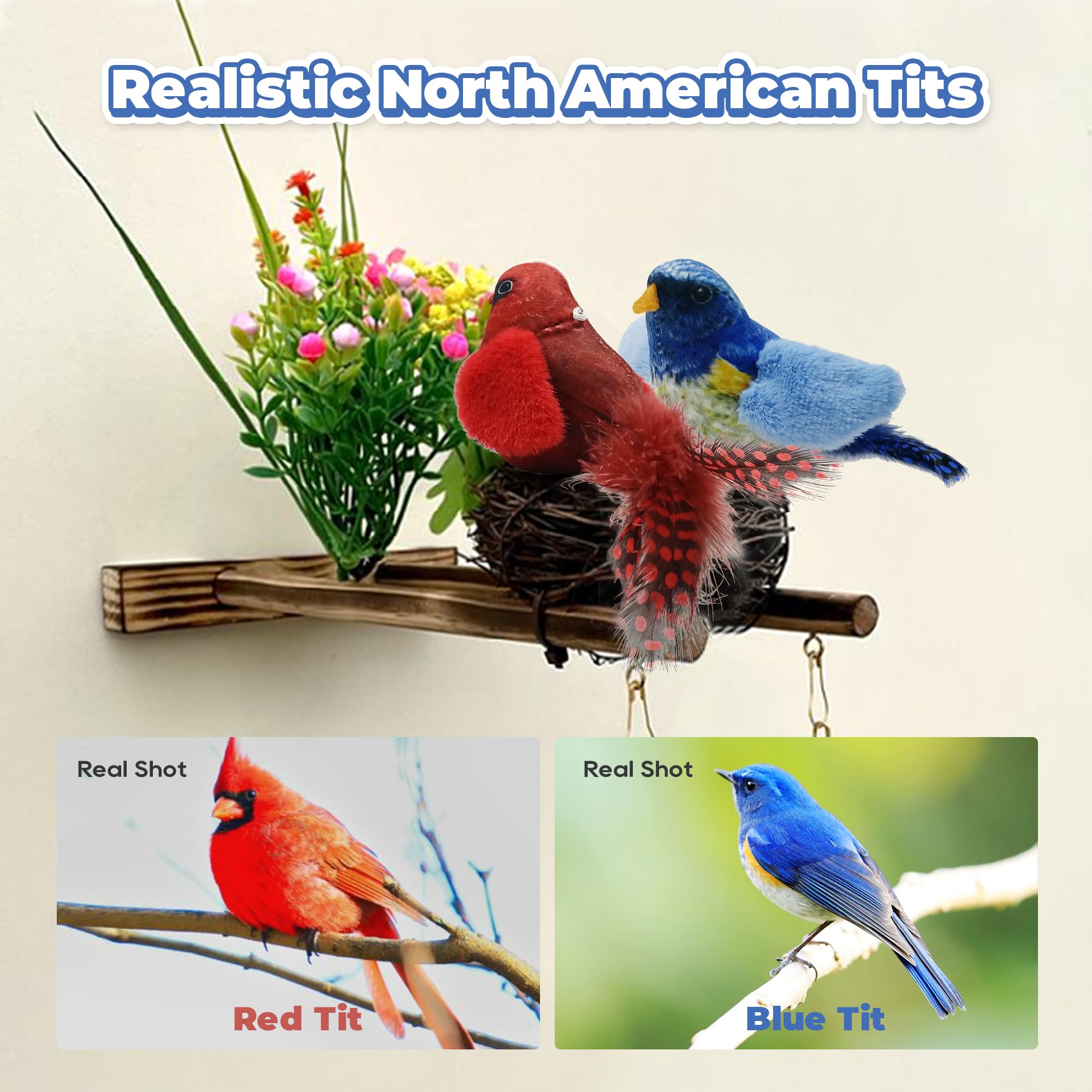 LEWISER zoom sur plumes naturelles et peluche pour stimulation tactile