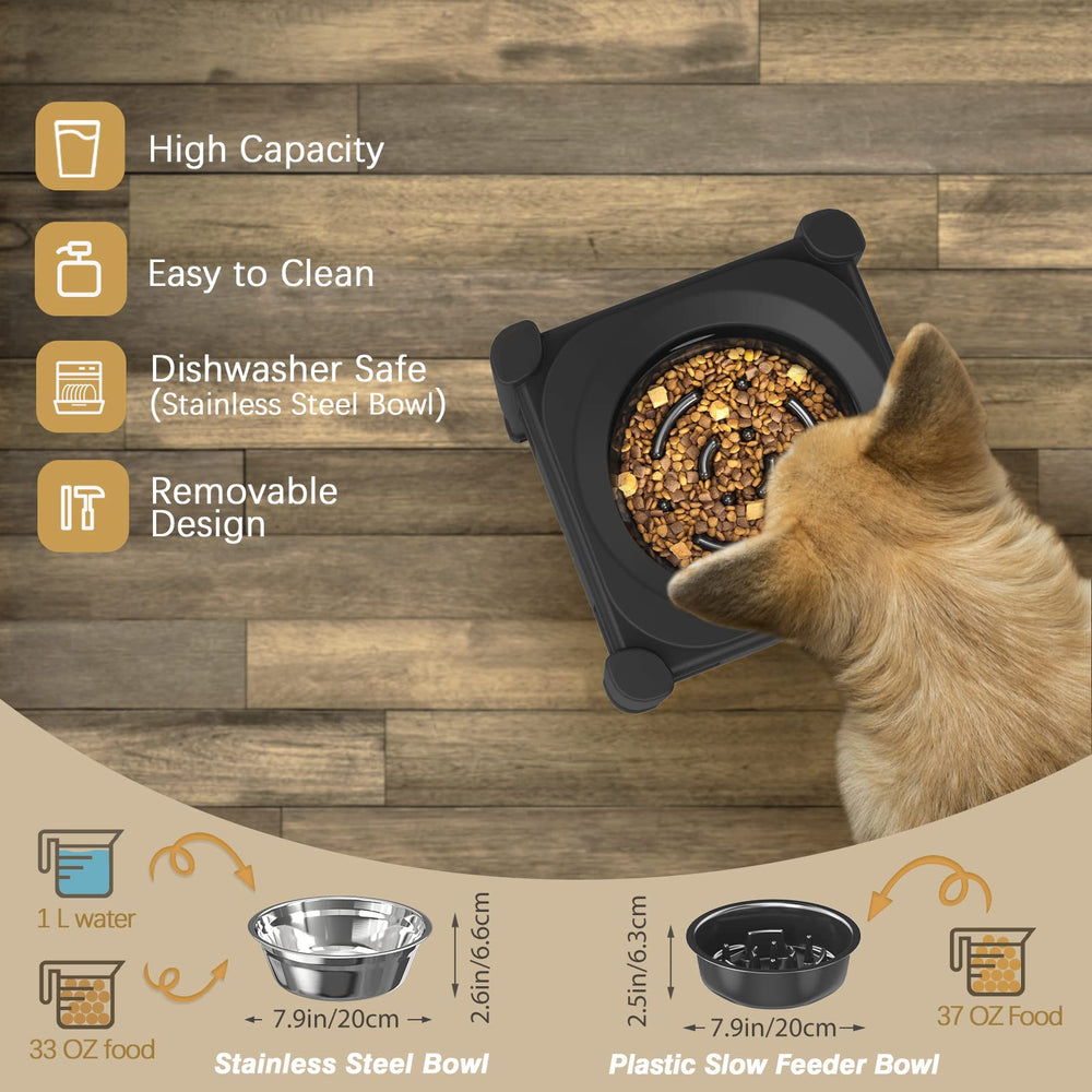 Lewondr gamelle en action avec chien moyen réduisant vitesse d'alimentation