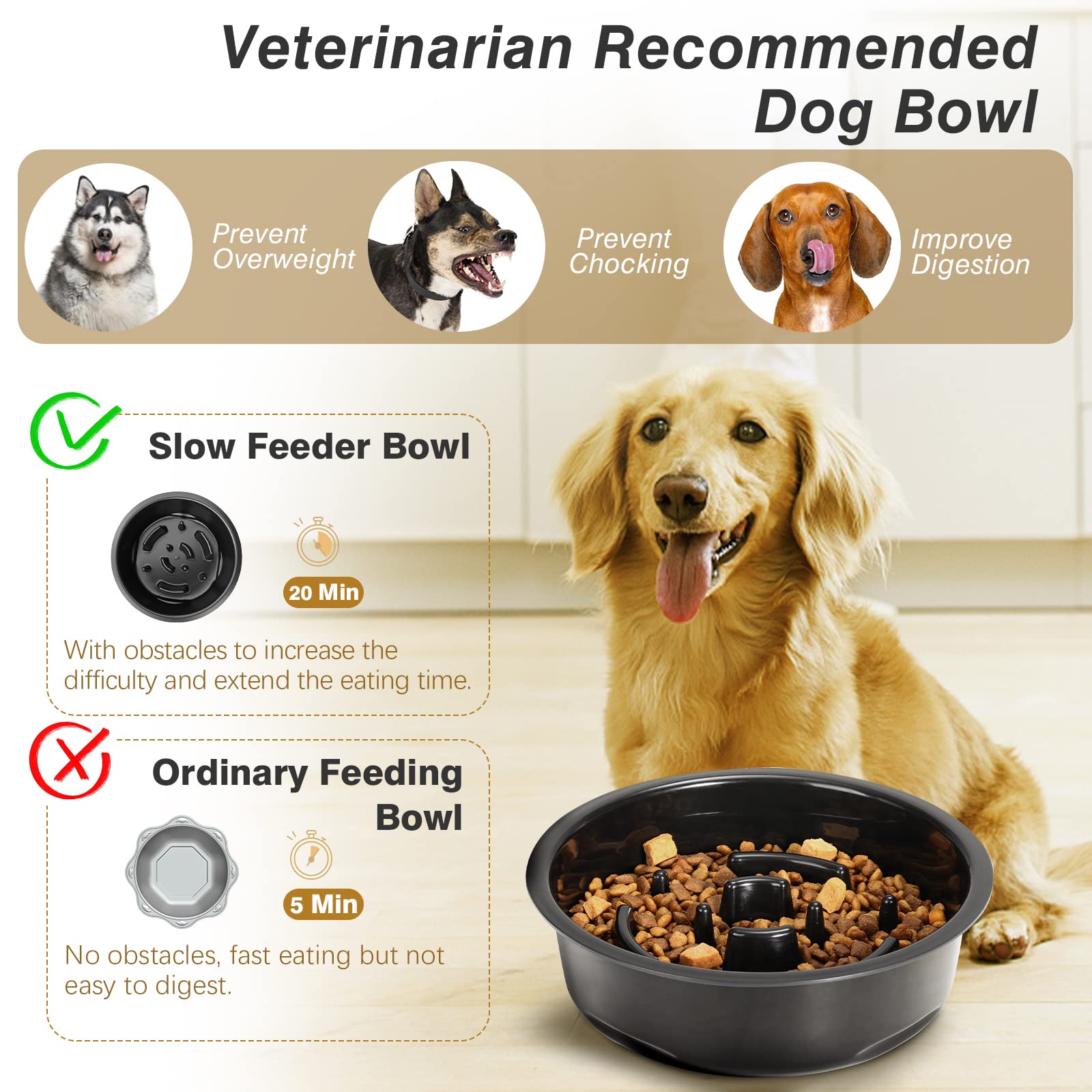 Lewondr support réglable hauteur maximale améliorant posture du chien