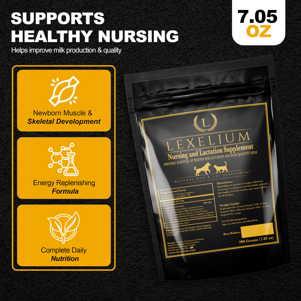 Chienne allaitante utilisant Lexelium pour soutenir production de lait
