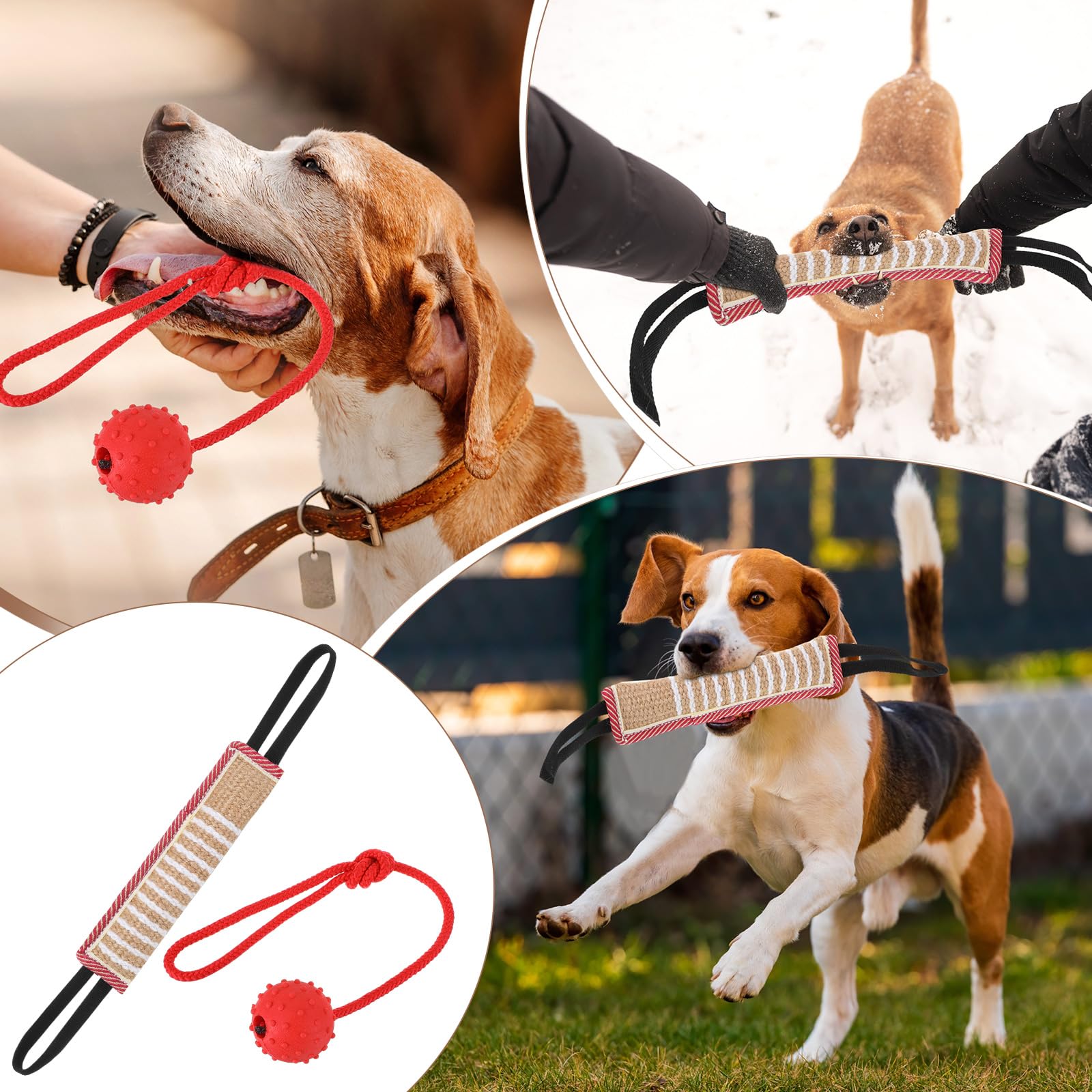 Leyndo utilisation en plein air dresseur et chien lors d'exercice sûr