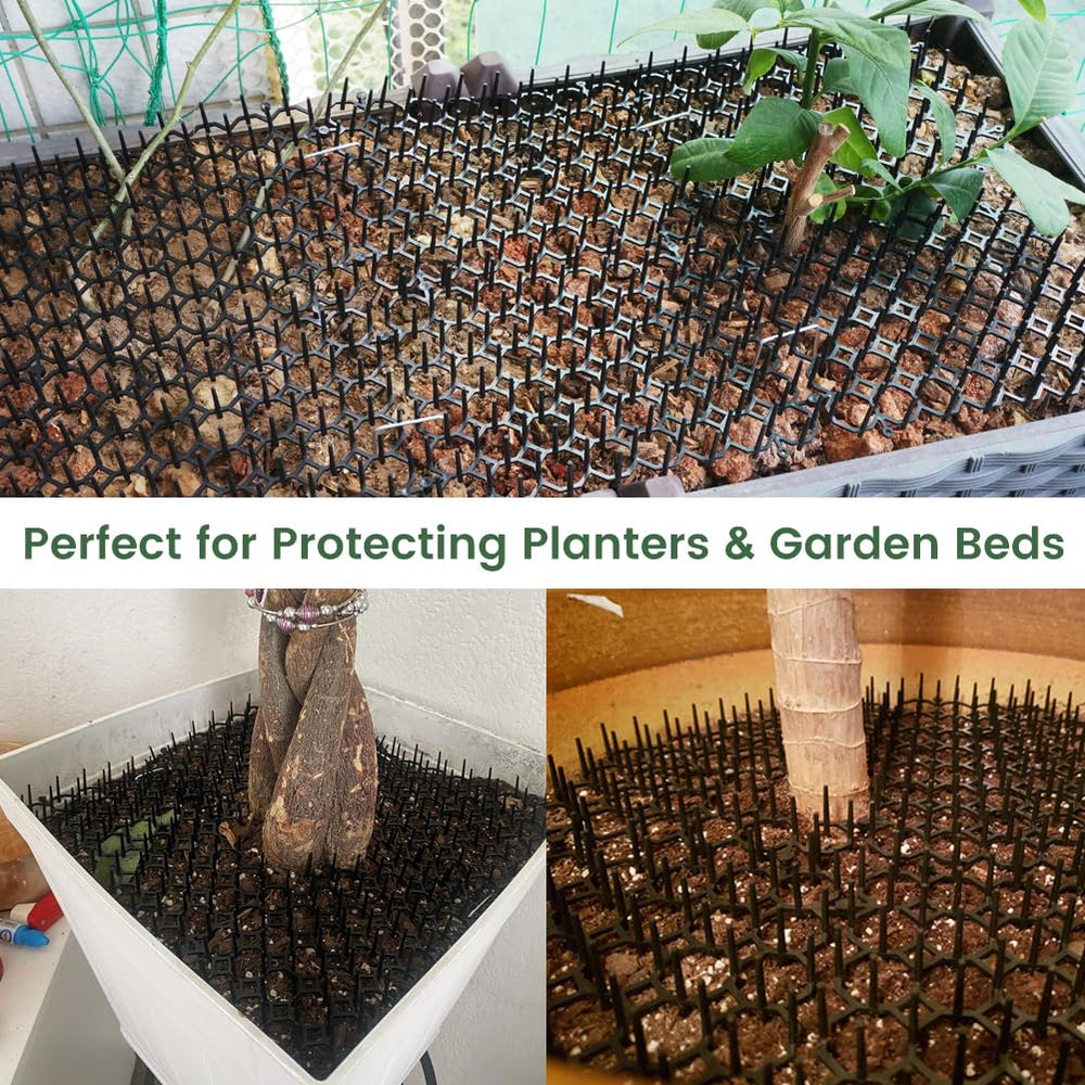 Ley's tapis utilisé autour d'un pot protégeant plantes et terre