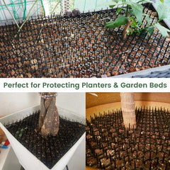 Ley's tapis utilisé autour d'un pot protégeant plantes et terre