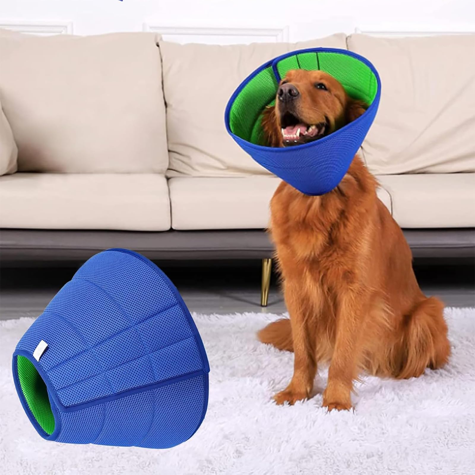 LH NTGR scène lifestyle chien buvant et reposant sans stress