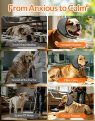 LHP chien portant le casque pendant un orage, réduction de stress visible