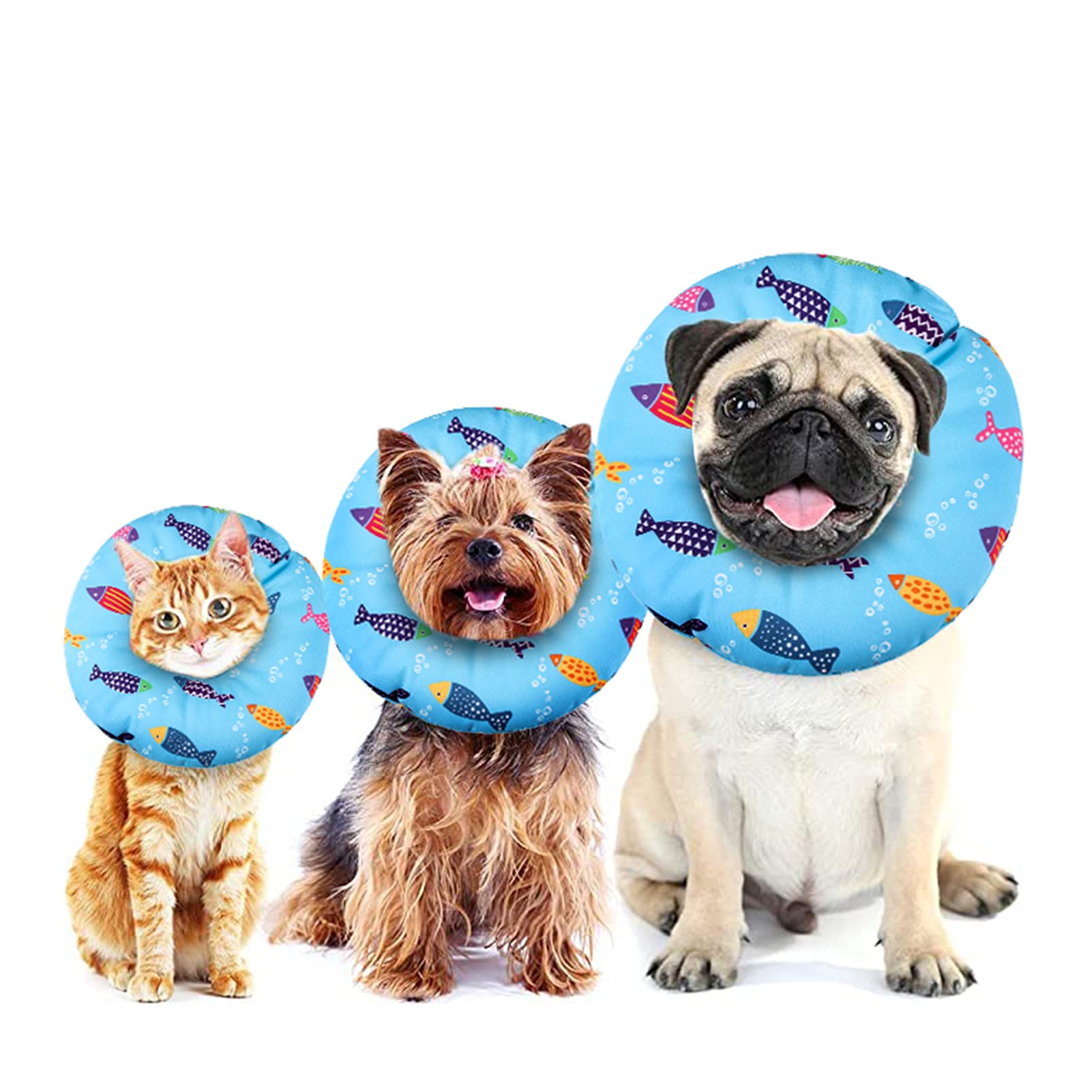 libfrnt motif poisson décoratif rend l’animal plus mignon