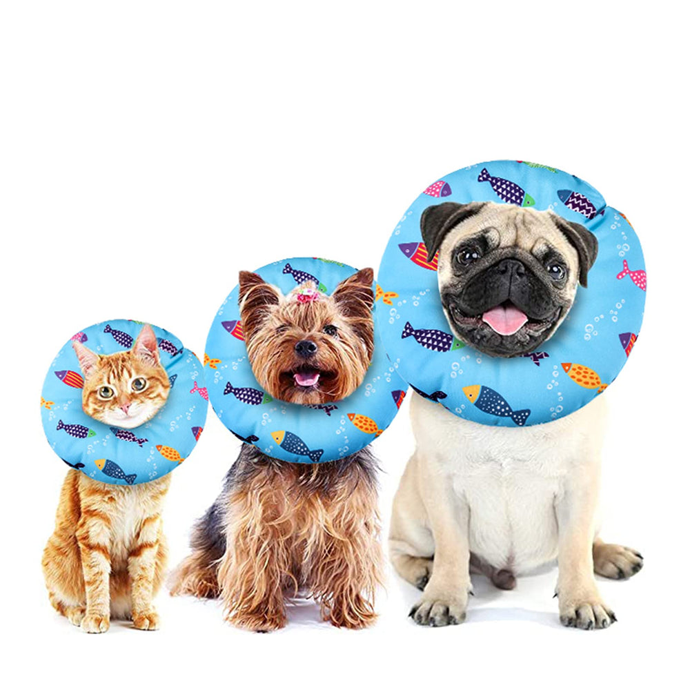 libfrnt motif poisson décoratif rend l’animal plus mignon
