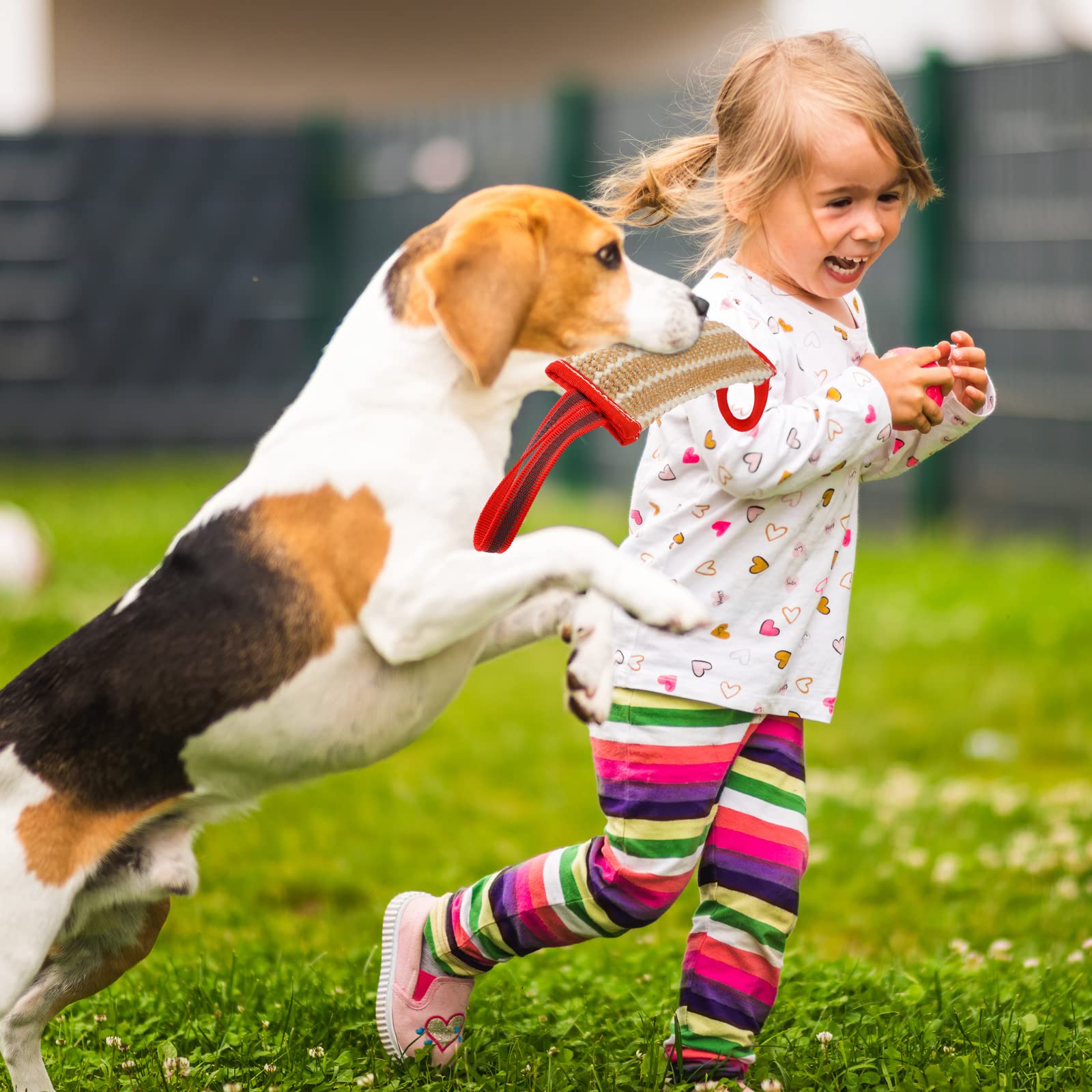 Libima jouet en usage au parc avec chien, favorise entraînement actif