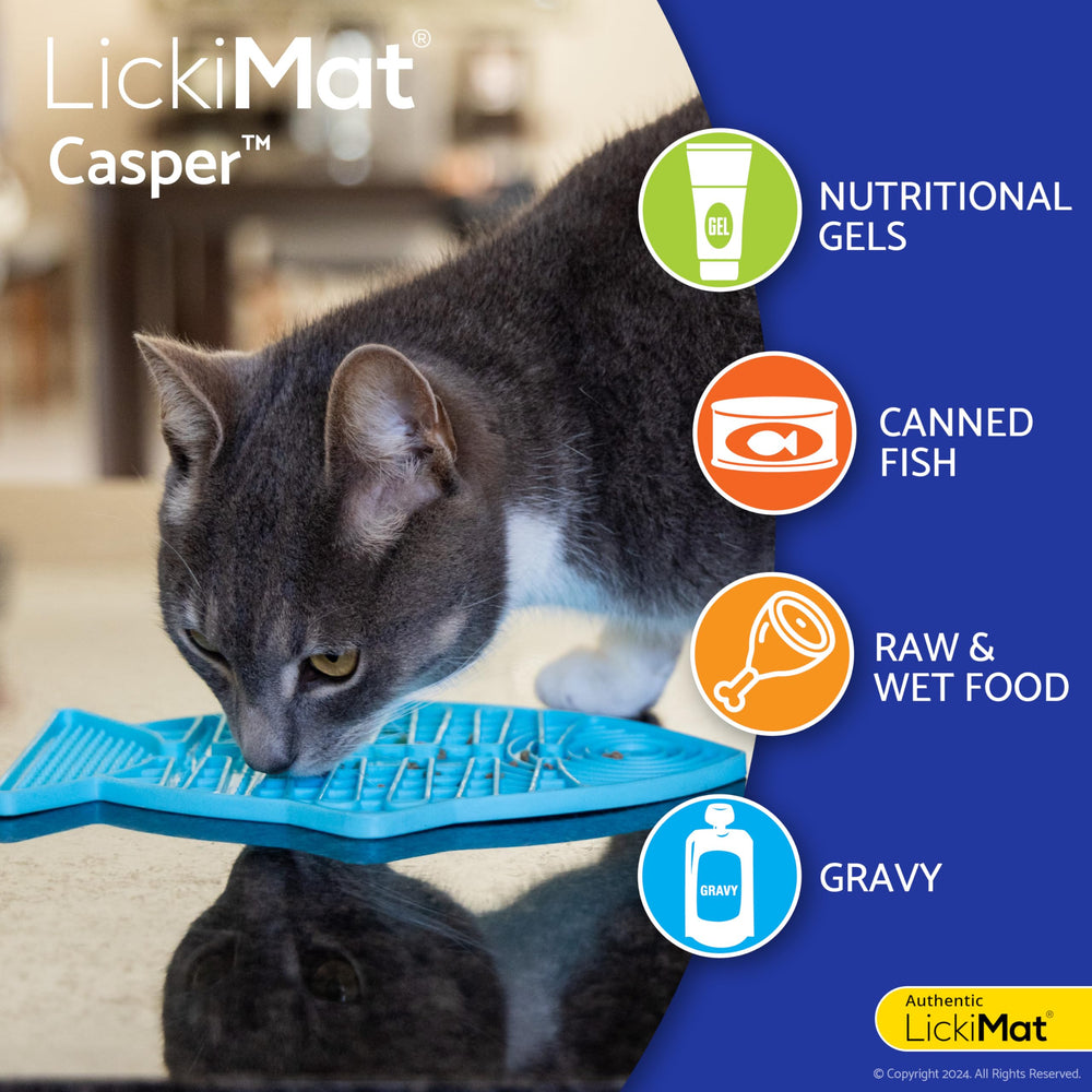 LICKIMAT Casper comparaison de taille avec une main pour évaluer portion et encombrement