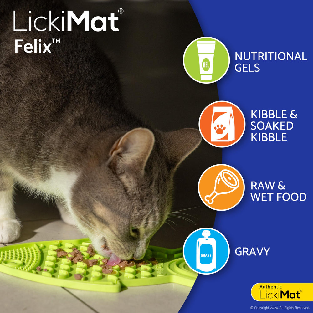 Comparaison de taille LICKIMAT avec une main pour évaluer dimensions pratiques