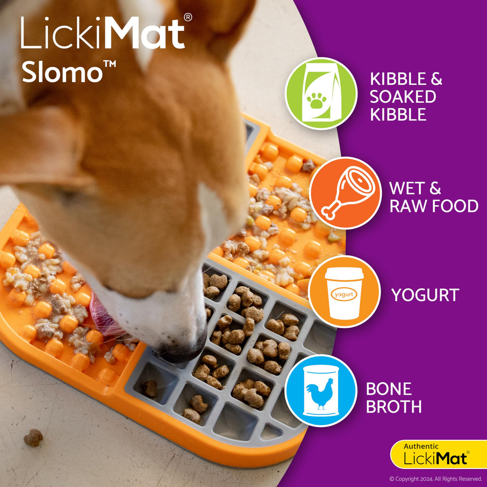LICKIMAT Slomo détail bords stables matière sûre sans silicone