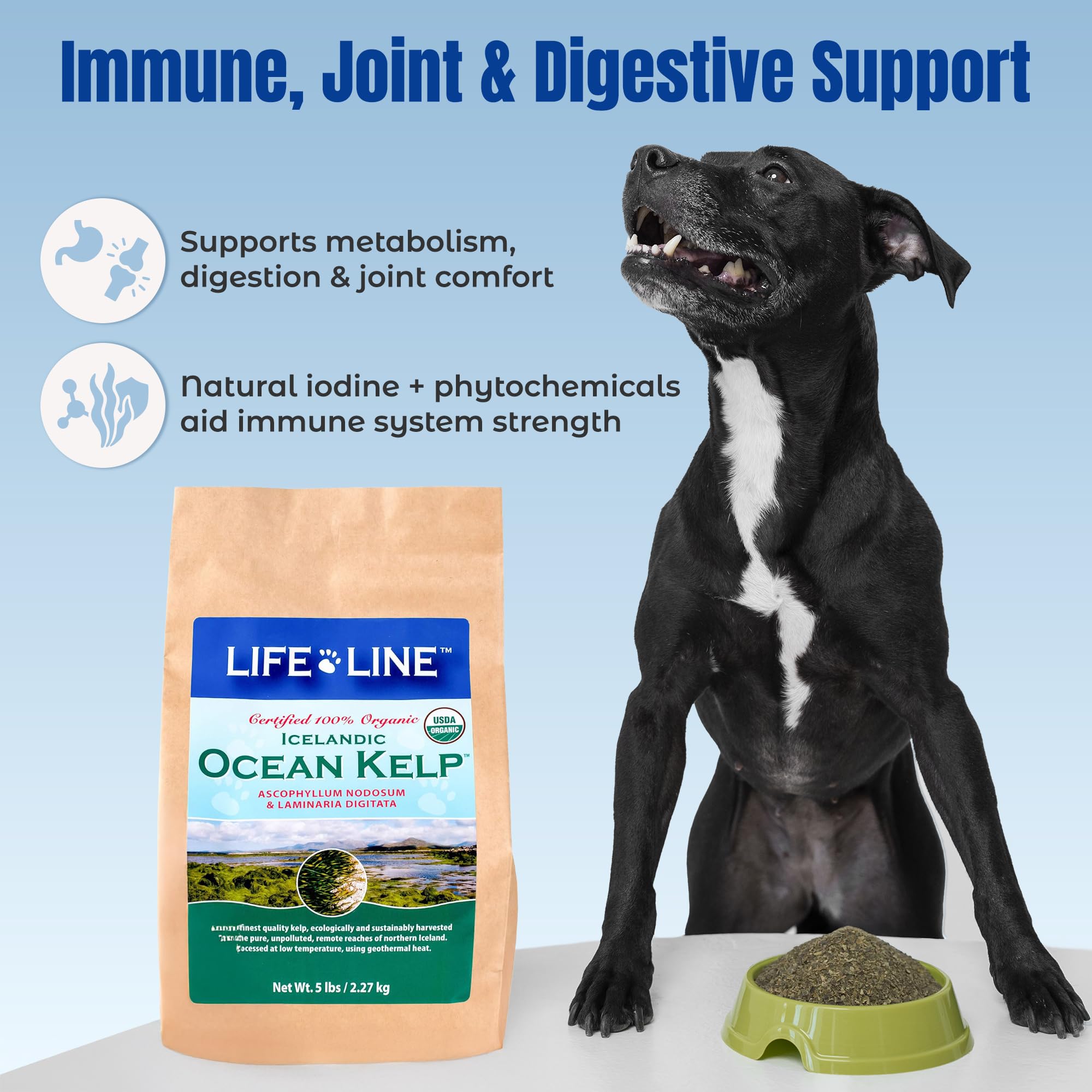 Life Line chat consommant supplément pour digestion et vitalité
